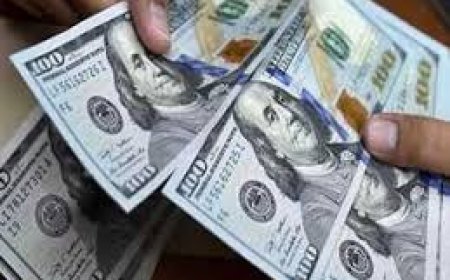 انخفاض جديد رسميًا.. سعر الدولار اليوم الأحد 1 سبتمبر 2024 مقابل الجنيه المصري داخل النبوك