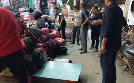 تحرير ٣٣ محضر إشغال و٤٤ حالة ضبط و٣٠ إزالة فورية.. بمنوف