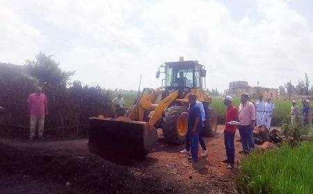 تنفيذ «60» قرار إزالة لـ «مكامير الفحم» غير المطورة بقريتي سد خميس والفقهاء القبلية بسيدي سالم