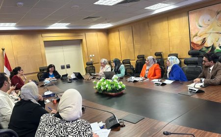 التضامن والمركز الديموجرافي يبحثان الموقف التنفيذي لمشروع تنمية الأسرة