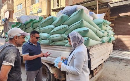 تحرير 15 محضرا تموينيا في حملة مشتركه بالاسماعيلية