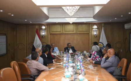 محافظ قنا يترأس اجتماع اللجنة التنفيذية للمبادرة الوطنية للمشروعات الخضراء الذكية