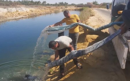 إلقاء مليون زريعة أسماك  ببحيرات سيوة