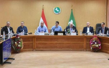 مساعدات فورية ومعاش تكافل وكرامة ووظائف بالقطاع الخاص للأسر الأولى بالرعاية بالشرقية