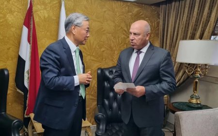 مصر وكوريا تناقشان سبل توسيع التعاون المشترك في قطاعي النقل والصناعة