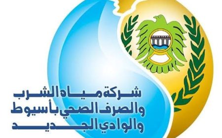 مياه أسيوط  تعلن عن اسماء المتقدمين الذين انطبقت عليهم والذين لم تنطبق عليهم شروط مسابقه الشركة رقم (3) لعام 2024م الخاصه بوظيفة قارئ ومحصل.