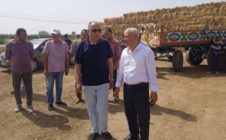 الزراعة والبيئة يتابعان منظومة جمع وتدوير قش الارز ومكافحة السحابة السوداء بالشرقية