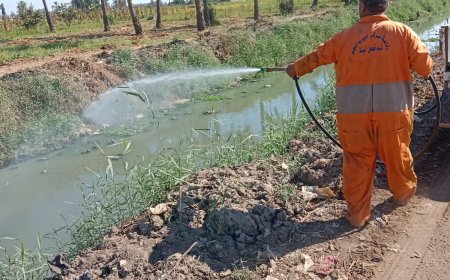 تزامناً مع المبادرة الرئاسية “بداية جديدة لبناء الإنسان “الشرقية تكثف جهودها في مكافحة الذباب والبعوض وناقلات الأمراض