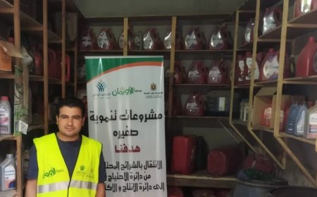 تحت رعاية مديرية التضامن الاجتماعى تنفيذ 2536 مشروعًا تنمويًا فى أسوان