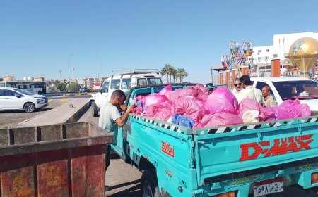موجهاً بإحالة السائق للنيابة العامة.. محافظ البحر الأحمر يعلن ضبط سيارة نقل تلقي مخلفات طبية بصناديق القمامة 