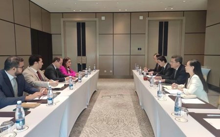 وزير المالية: نستهدف زيادة الاستثمار الأجنبي المباشر الصيني فى التصنيع والخدمات اللوجستية وإدارة الموانئ