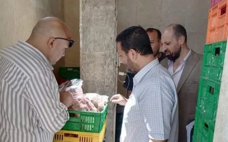 ضبط مجزءات دواجن ومصنعات لحوم فاسدة بالاسماعيلية