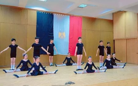 معارض وعروض فنية متنوعة في ختام الأنشطة الصيفية بقصر ثقافة الجيزة