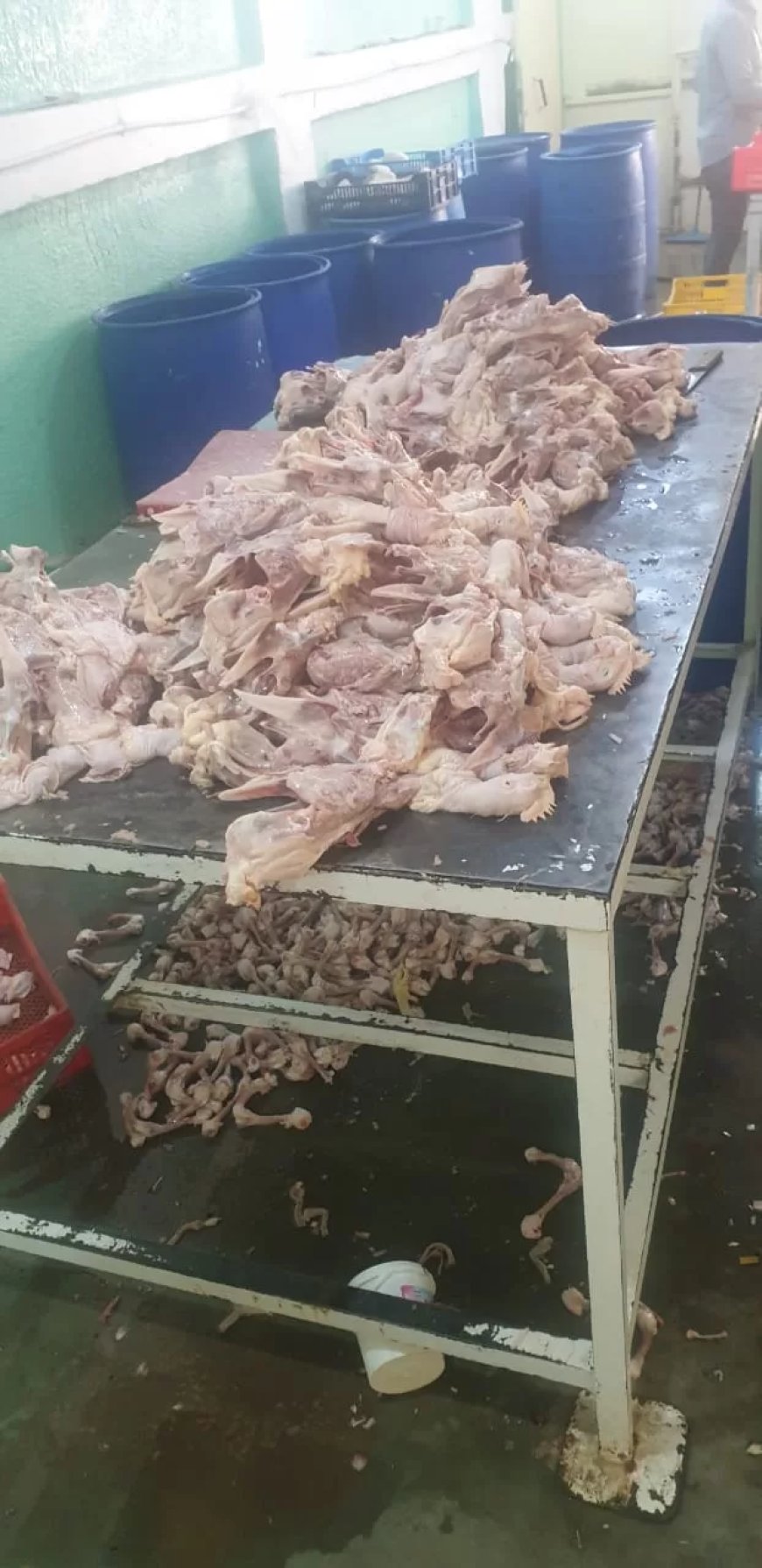 “بيطري الجيزة” تضبـــط 4 أطنان و199 كيلو مقطعات ومصنعات لحوم ودواجن فاسدة في 8 مناطق