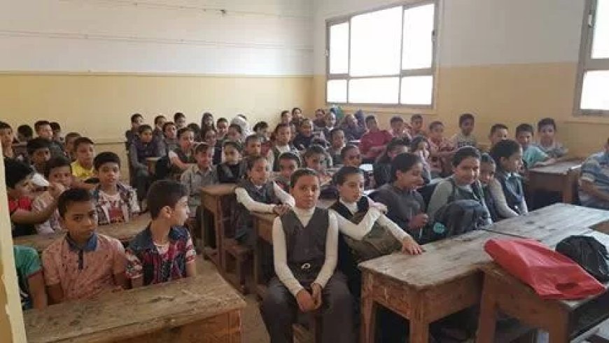 عاجل لوزير التربية والتعليم ومحافظ القليوبية