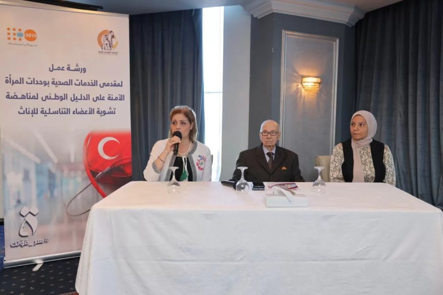 المجلس القومى ينظم ورشة عمل لمقدمي الخدمات الصحية  بوحدات المرأة الآمنة بالمستشفيات الجامعية