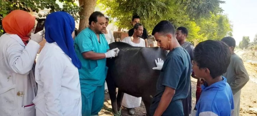 محافظ أسوان يتابع نتائج القوافل البيطرية ضمن الإحتفال بالعيد الـ ( 72 ) للفلاح المصرى للحفاظ على الثروة الحيوانية