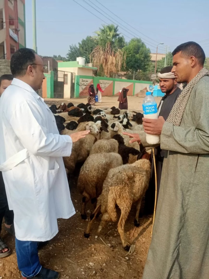 ضمن مبادرة “بداية جديدة”.. “بيطري الجيزة” تطلق الحملة القومية لتحصين الماشية ضد طاعون المجترات ب”قري” المحافظة