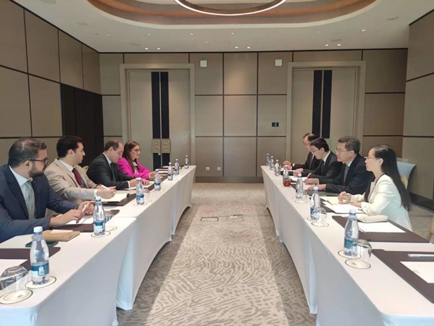 وزير المالية: نستهدف زيادة الاستثمار الأجنبي المباشر الصيني فى التصنيع والخدمات اللوجستية وإدارة الموانئ