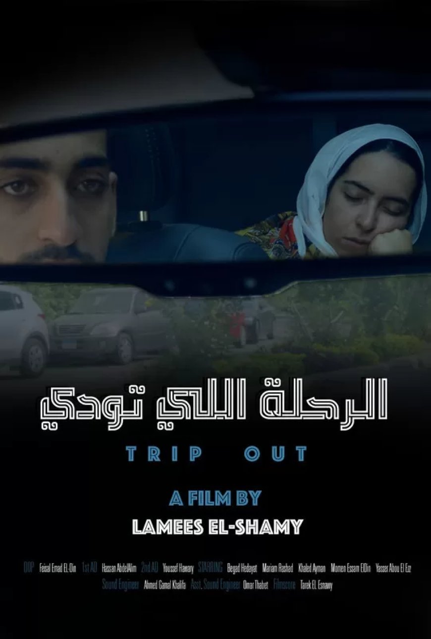 مشاركة 21 عملاً فنياً في مسابقة أفلام شباب مصر بمهرجان الإسكندرية السينمائي