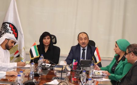 قطاع الأعمال العام :  تعاون مصري اماراتي للإستثمار في اصول الدولة ..