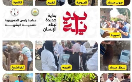 الزراعة: جهود مكثفة للخدمات البيطرية في تحسين السلالات وزيادة الإنتاجية في الثروة الحيوانية