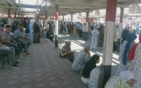 عاجل لمحافظ كفرالشيخ