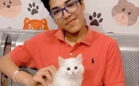 ضبط المتهم بقتل طفل وطعن اثنين آخرين في الإسكندرية