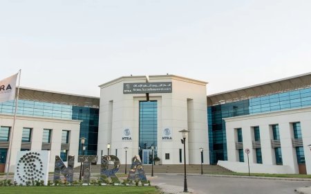 تغريم ماونتن ڤيو  ٢٠ مليون جنيه و توفيق أوضاعها مع جهاز تنظيم الاتصالات
