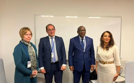 كجوك: مبادلة الديون بالاستثمارات تمثل أحد أهم الحلول المبتكرة لأزمة الديون