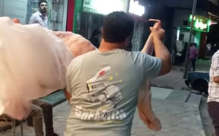 بحوزتهم سلع ولحوم فاسدة.. محافظة الجيزة تضبط مطاعم وكافيهات تمارس أنشطة سياحية بدون ترخيص بالعجوزة