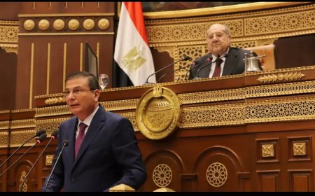 وزير الزراعة يستعرض أمام الجلسة العامة لمجلس الشيوخ جهود الرقابة على تداول المبيدات ودعم الزراعات التعاقدية للمزارعين