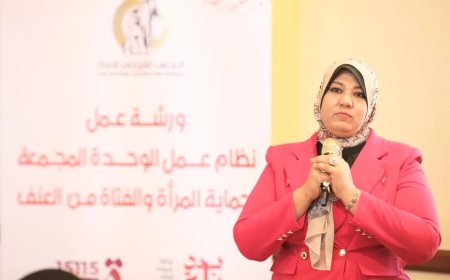 المجلس القومى يواصل ورشة عمل الوحدة المجمعة لحماية المرأة من العنف