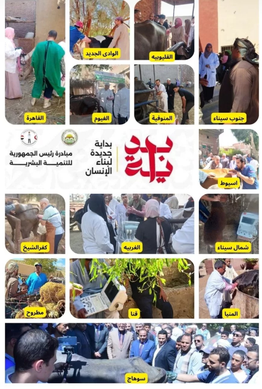 الزراعة: جهود مكثفة للخدمات البيطرية في تحسين السلالات وزيادة الإنتاجية في الثروة الحيوانية