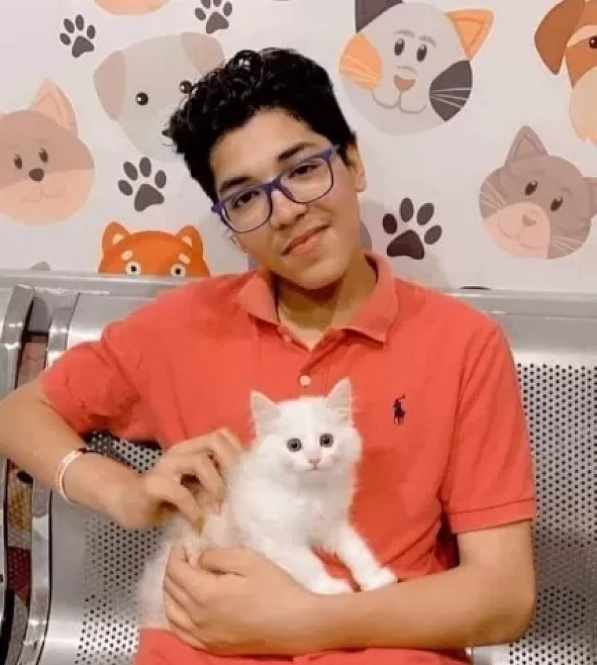 ضبط المتهم بقتل طفل وطعن اثنين آخرين في الإسكندرية