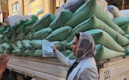 تحرير 154محضر مخالفة تموينية لمحال ومخابز بلدية بالإسماعيلية
