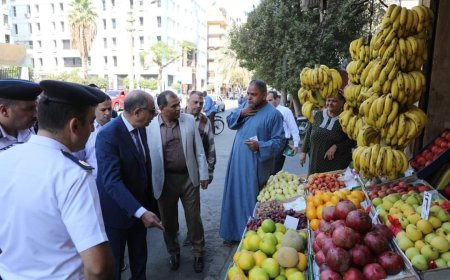 محافظ المنيا يقود حملة مكبرة لتفقد الأسواق والمخابز