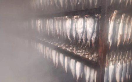 ضبط ١٠ أطنان سمك فاسد وملح طعام مجهول المصدر.. بتلا 
