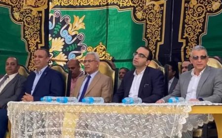 النائب محمد طلبة يعرض مشكلات القنطرة شرق أثناء زيارة المحافظ للقطاعات الخدمية