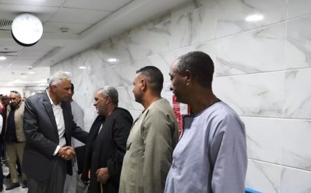 محافظ أسوان يتفقد مستشفى كوم أمبو الجديد ،