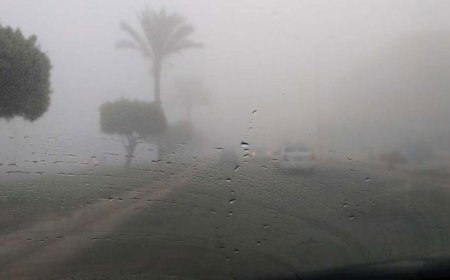 استنفار فرق الإغاثة والتدخل السريع بالتضامن والهلال الأحمر لمواجهة موجة الطقس السيئ