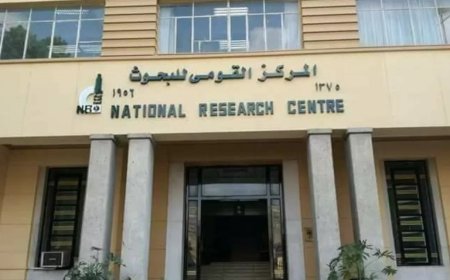 ينظمها قومى البحوث: ورشة عمل عن دمج الصناعة مع البحث العلمى