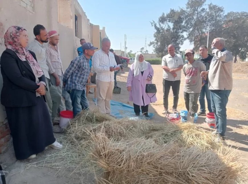 المركزية للإراشاد الزراعي:  1600 ندوة ارشادية استفاد منها 25 ألف مزارع