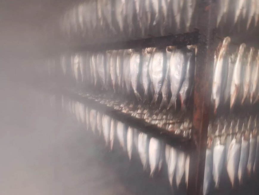 ضبط ١٠ أطنان سمك فاسد وملح طعام مجهول المصدر.. بتلا 