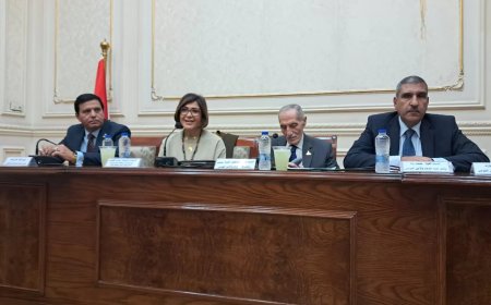 الدكتورة سوزان القليني تلقى محاضرة حول “تأثيرات الإعلام الإلكتروني على منظومة الأمن القومي المصري” بلجنة الدفاع و الأمن القومي بمجلس الشيوخ …