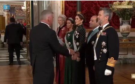 منتدى الأعمال المصري الدنماركي: زيارة الرئيس تساهم في تعزيز التعاون الاستثماري ودعم النمو المستدام