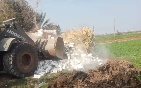محافظ بني سويف: إزالة 55 حالة “بعد مرور أسبوع” على بدء المرحلة  الثالثة من حملات  الموجة الـــ 24 لإزالة التعديات