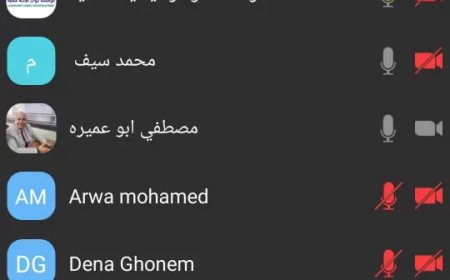 لجنة الثقافة والسياحة والإعلام بنموذج محاكاة مجلس الشيوخ تناقش مشروعات تطويرية 