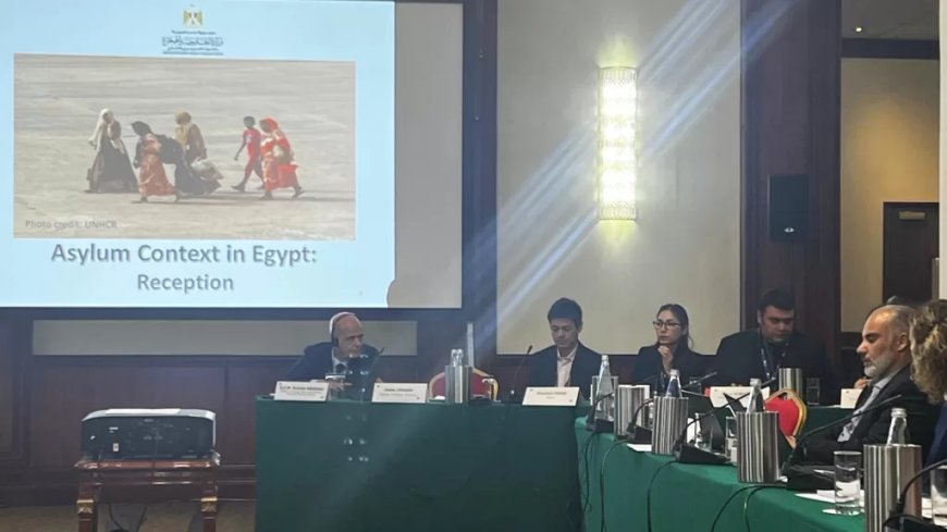 التضامن تشارك في ورشة عمل حول استقبال طالبى اللجوء في مالطا