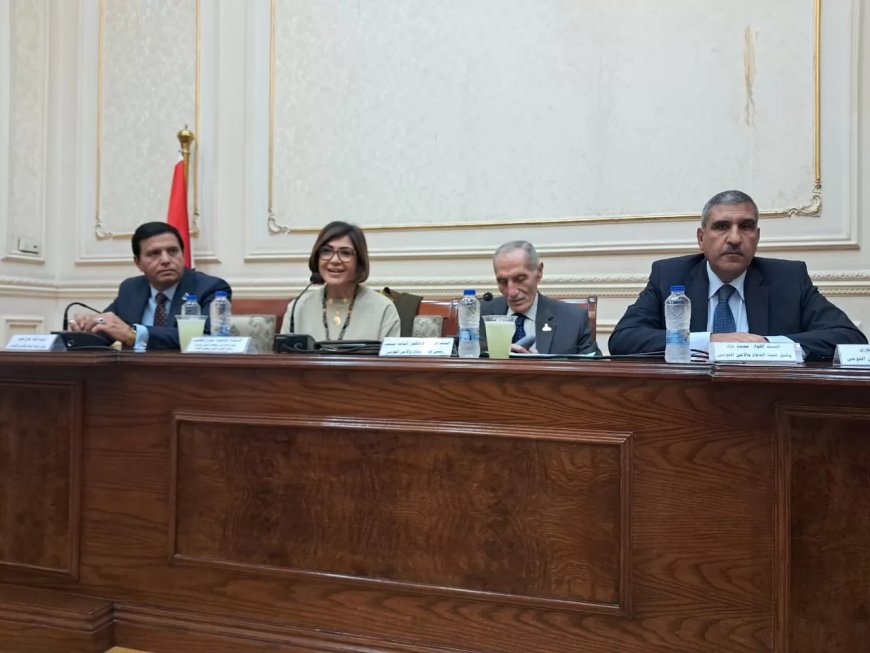 د. سوزان القليني تلقى محاضرة حول “تأثيرات الإعلام الإلكتروني على منظومة الأمن القومي” بمجلس الشيوخ